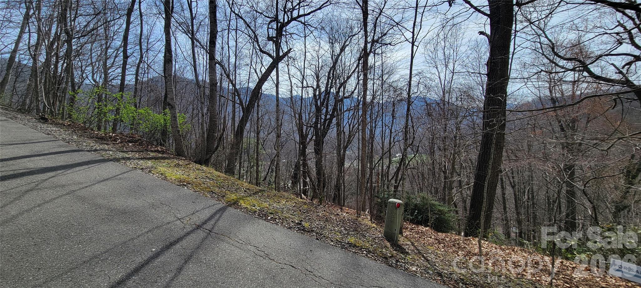 99999 Maplewood Drive Maggie Valley NC 28751