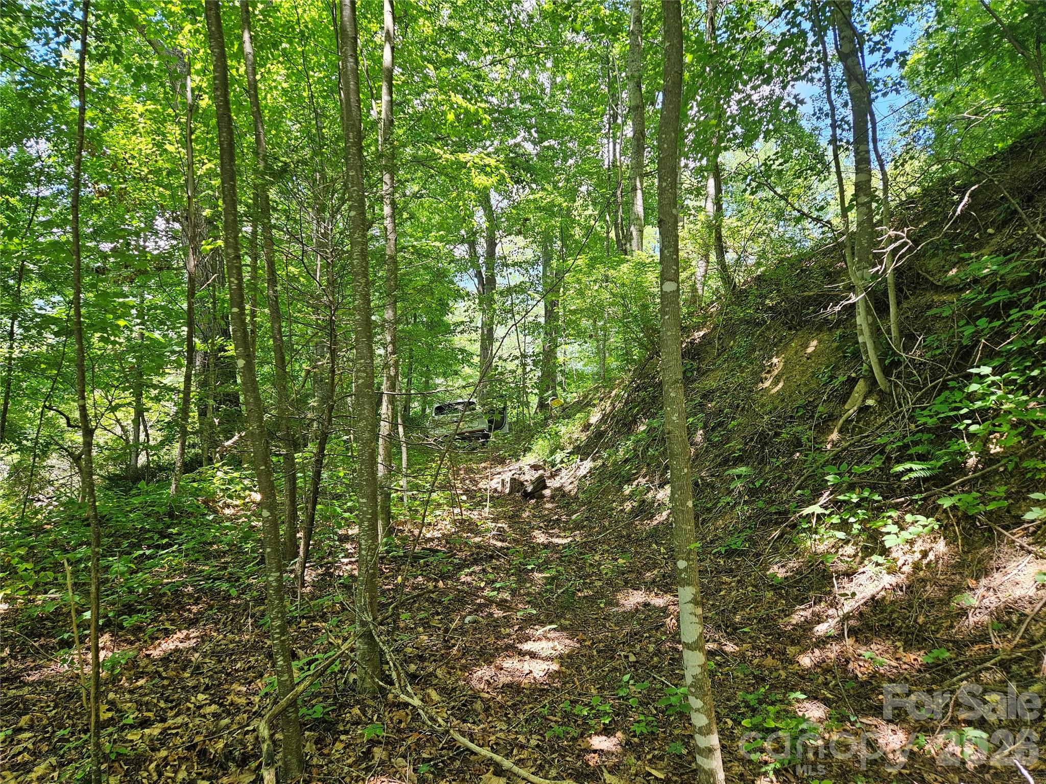 99999 Maplewood Drive Maggie Valley NC 28751
