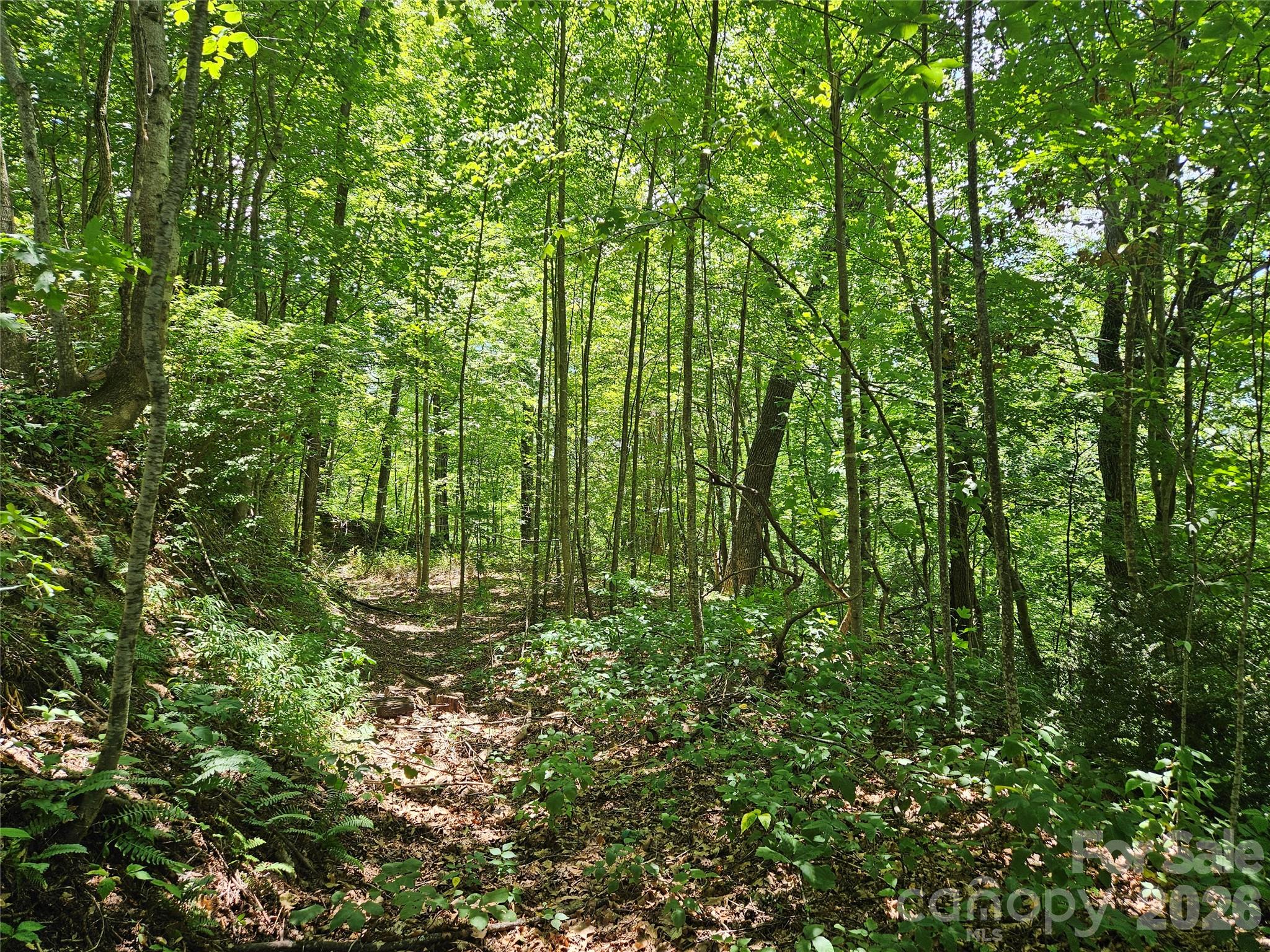 99999 Maplewood Drive Maggie Valley NC 28751
