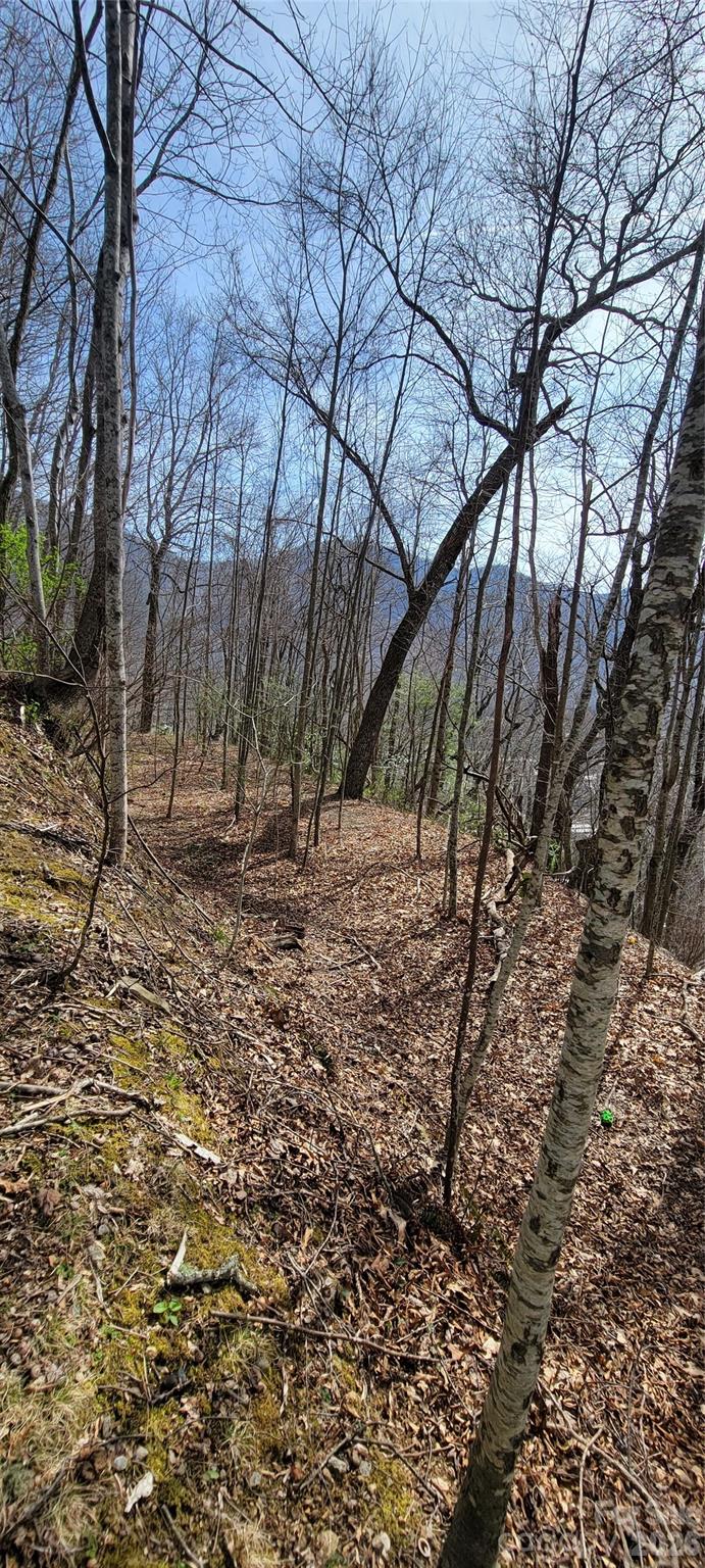 99999 Maplewood Drive Maggie Valley NC 28751