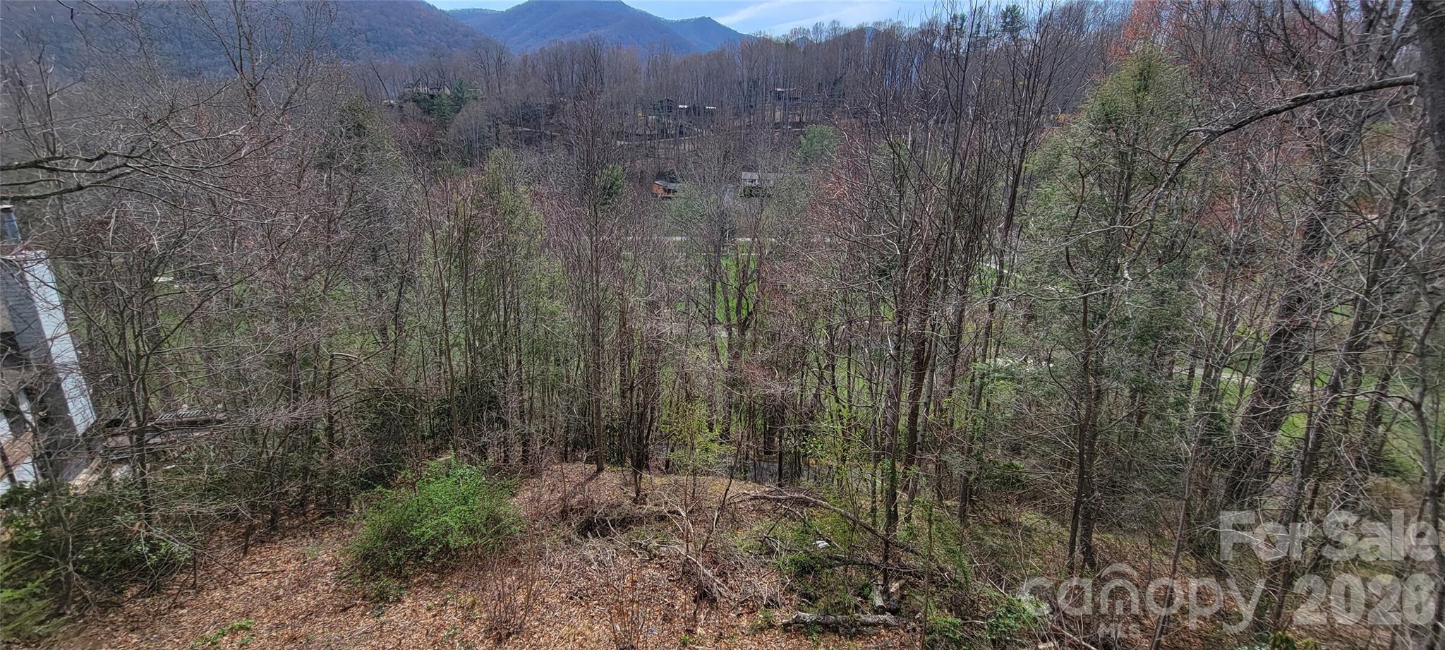 99999 Maplewood Drive Maggie Valley NC 28751