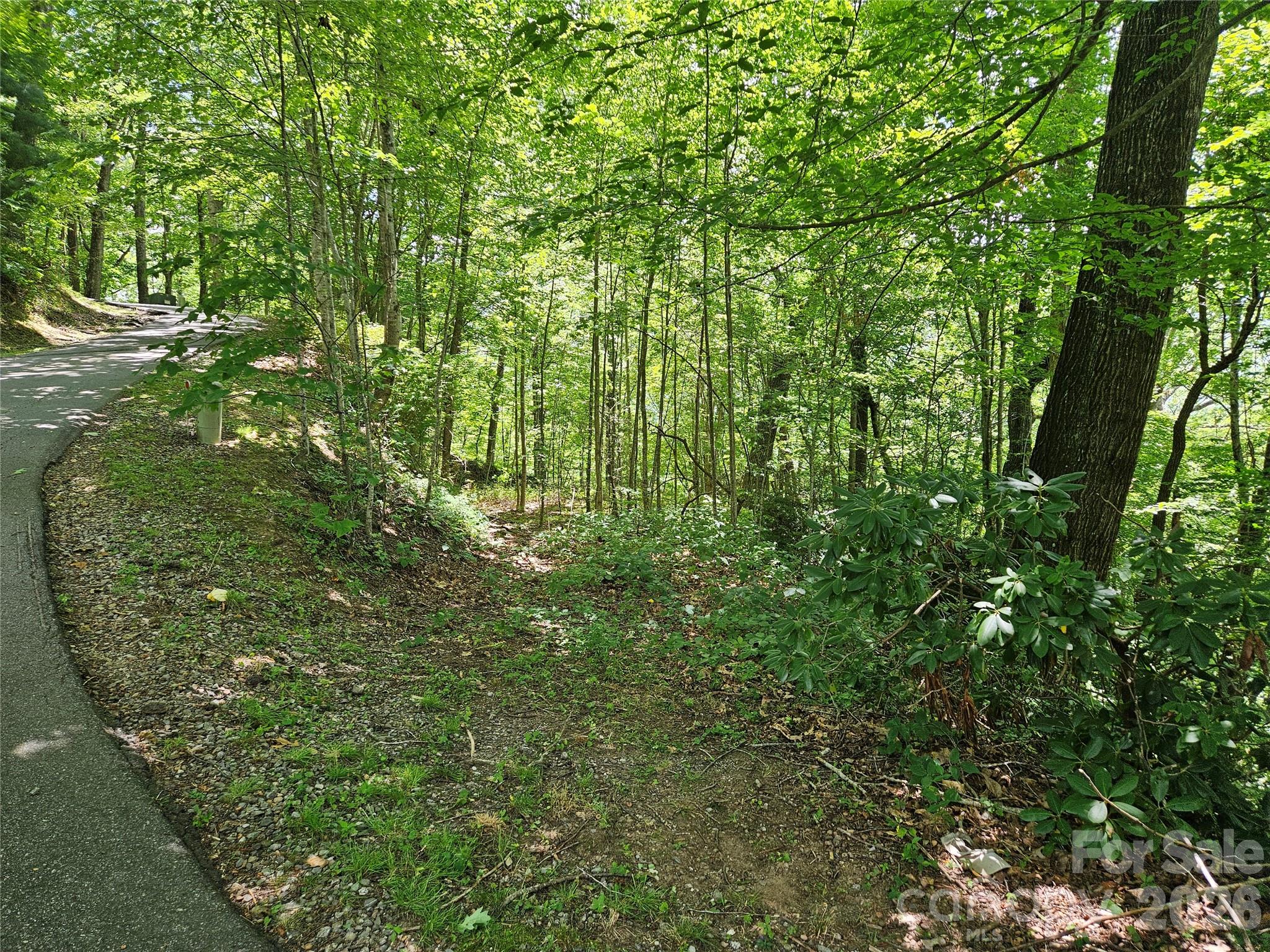 99999 Maplewood Drive Maggie Valley NC 28751