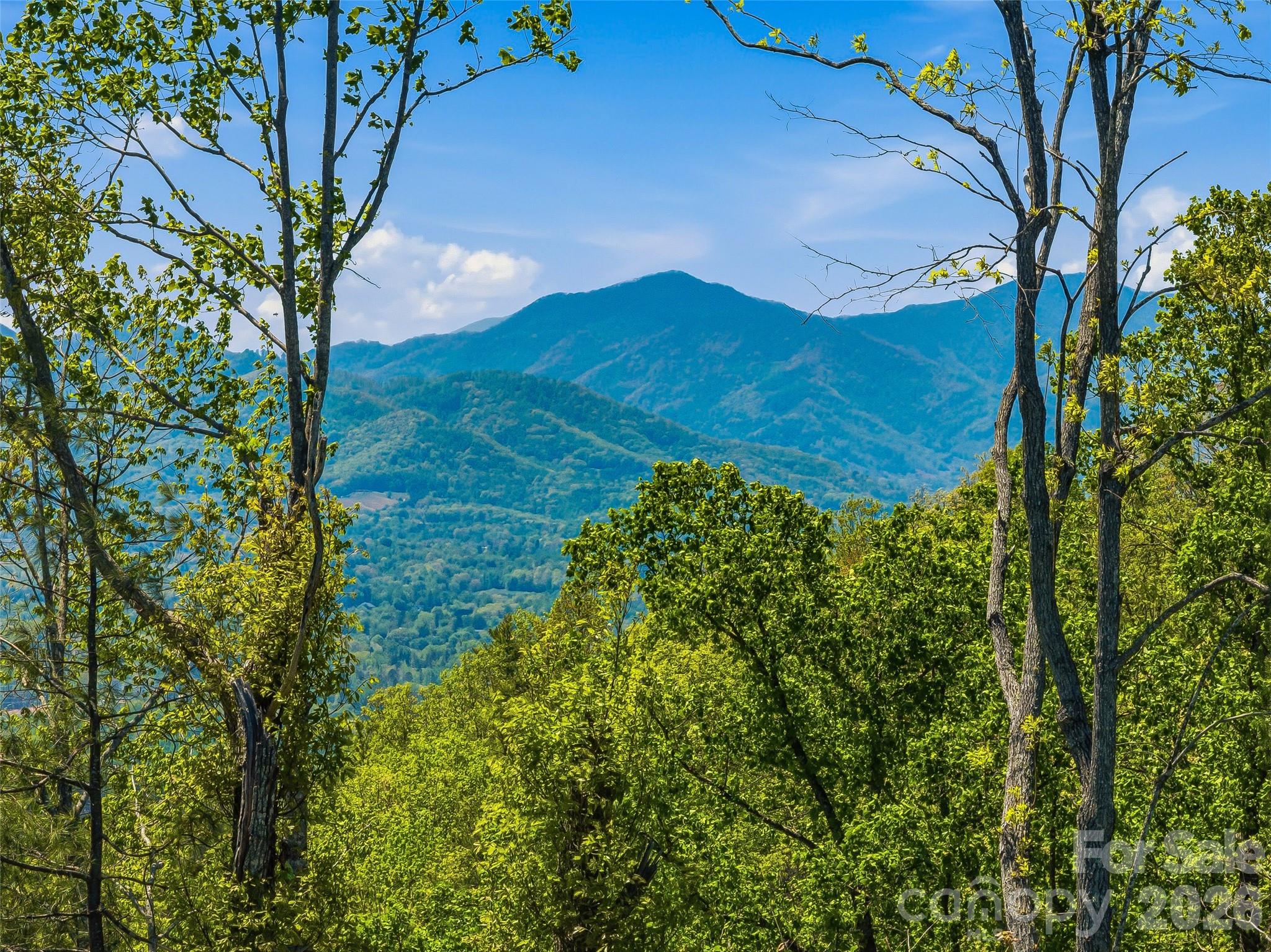 135 Starling Pass Asheville NC 28804