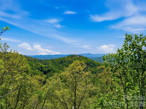 135 Starling Pass Asheville NC 28804
