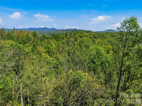 135 Starling Pass Asheville NC 28804