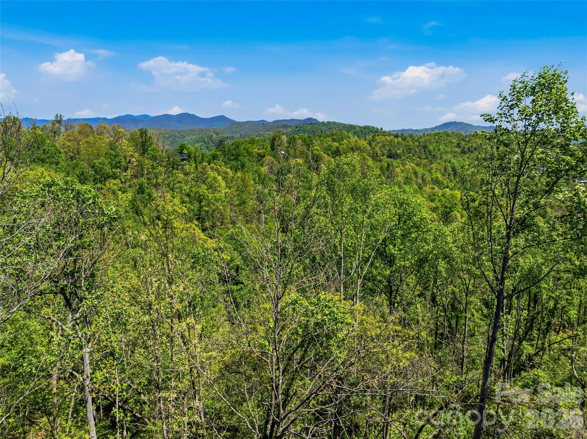 135 Starling Pass Asheville NC 28804