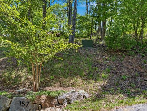 135 Starling Pass Asheville NC 28804