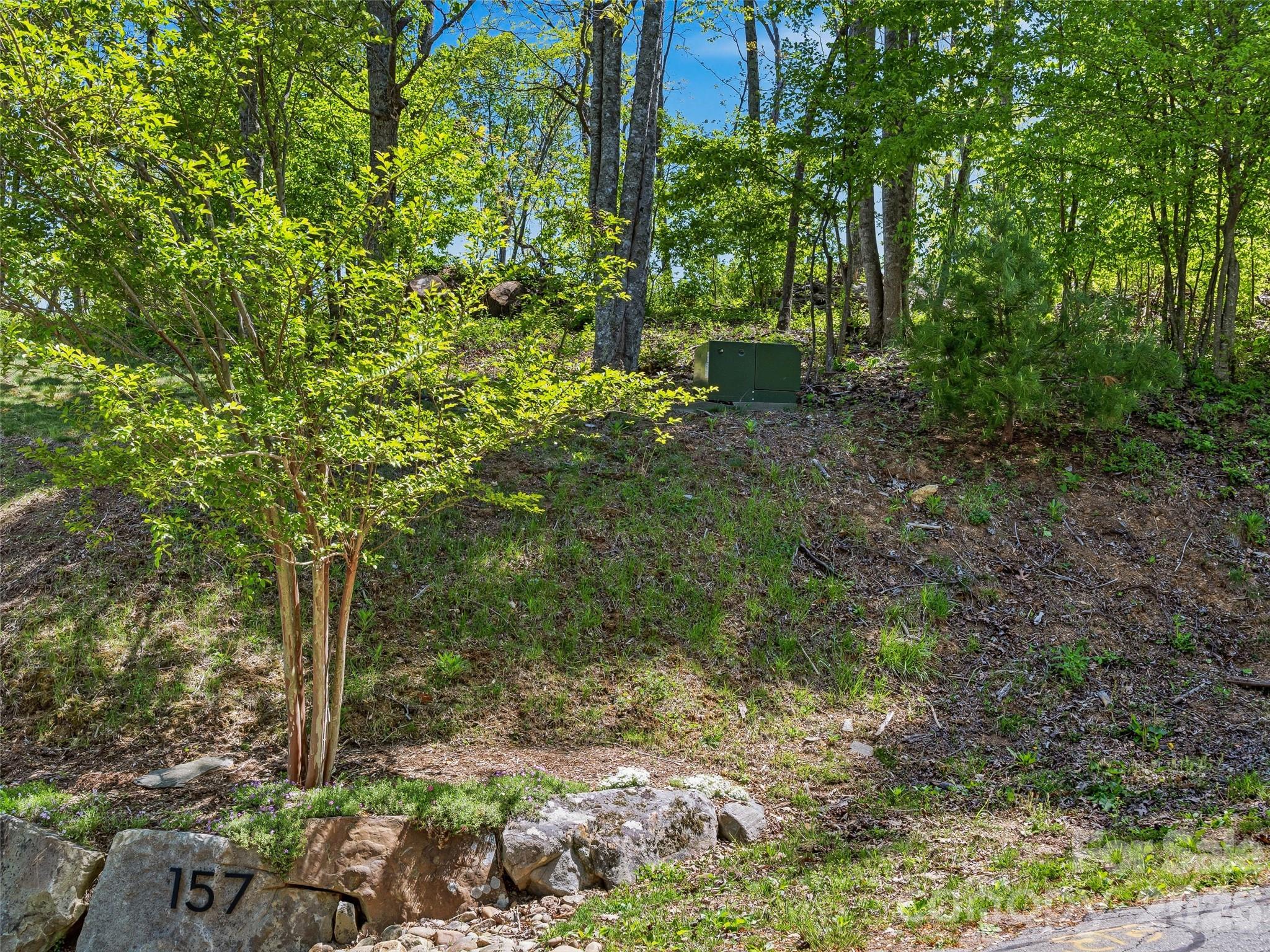 135 Starling Pass Asheville NC 28804