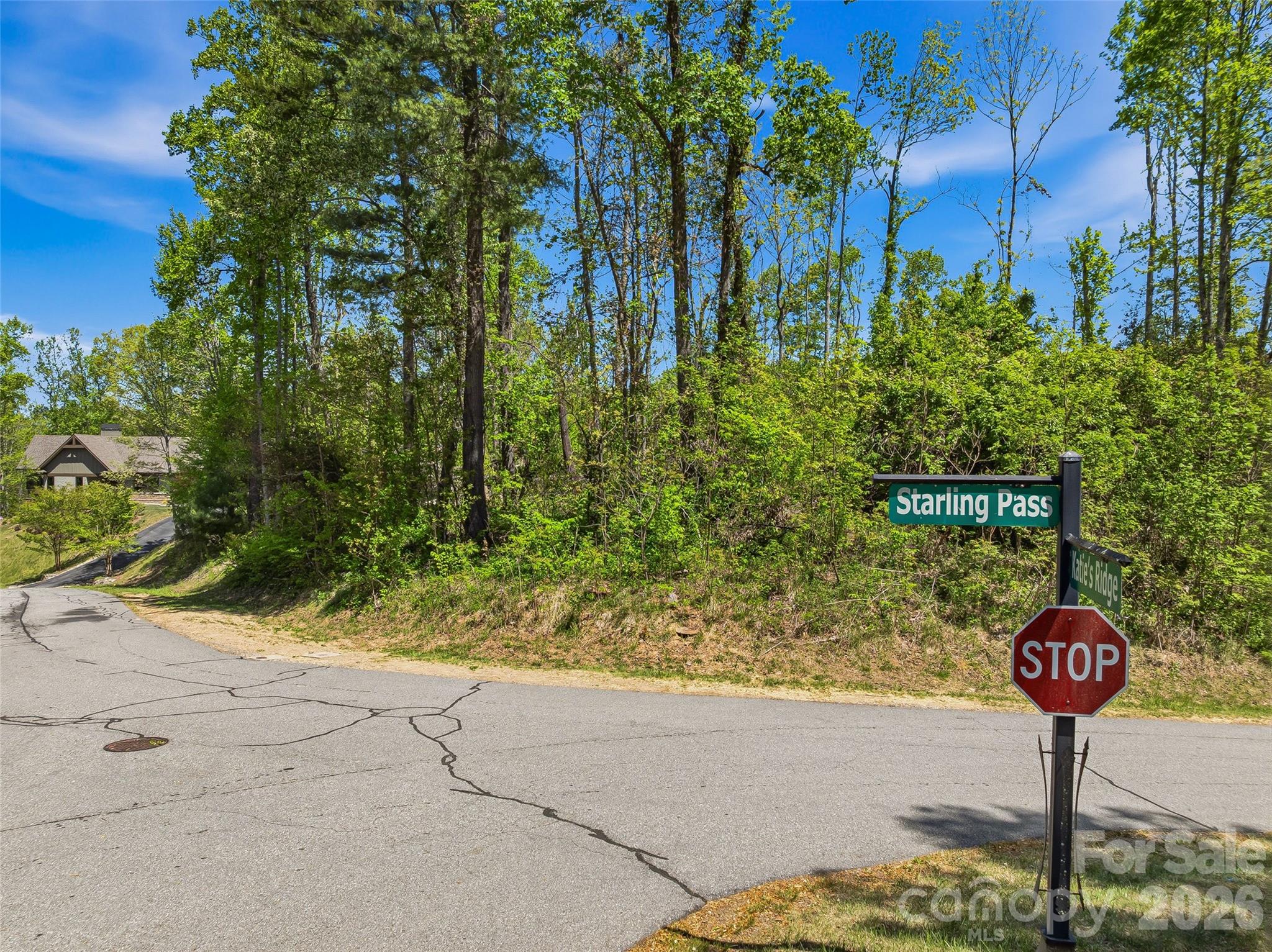 135 Starling Pass Asheville NC 28804