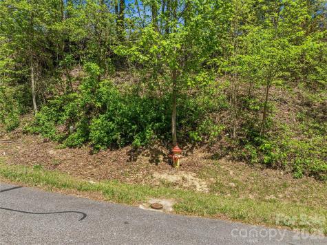 135 Starling Pass Asheville NC 28804