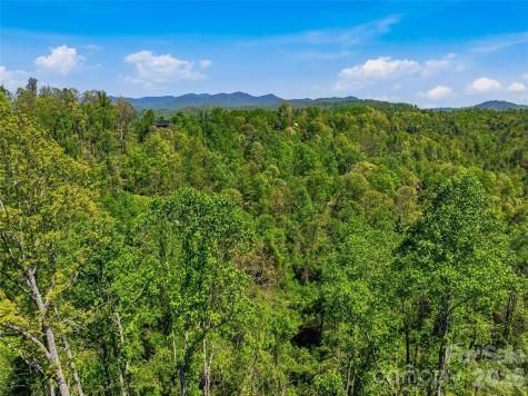 135 Starling Pass Asheville NC 28804