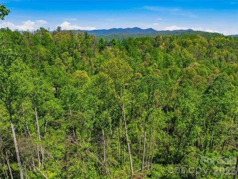 135 Starling Pass Asheville NC 28804