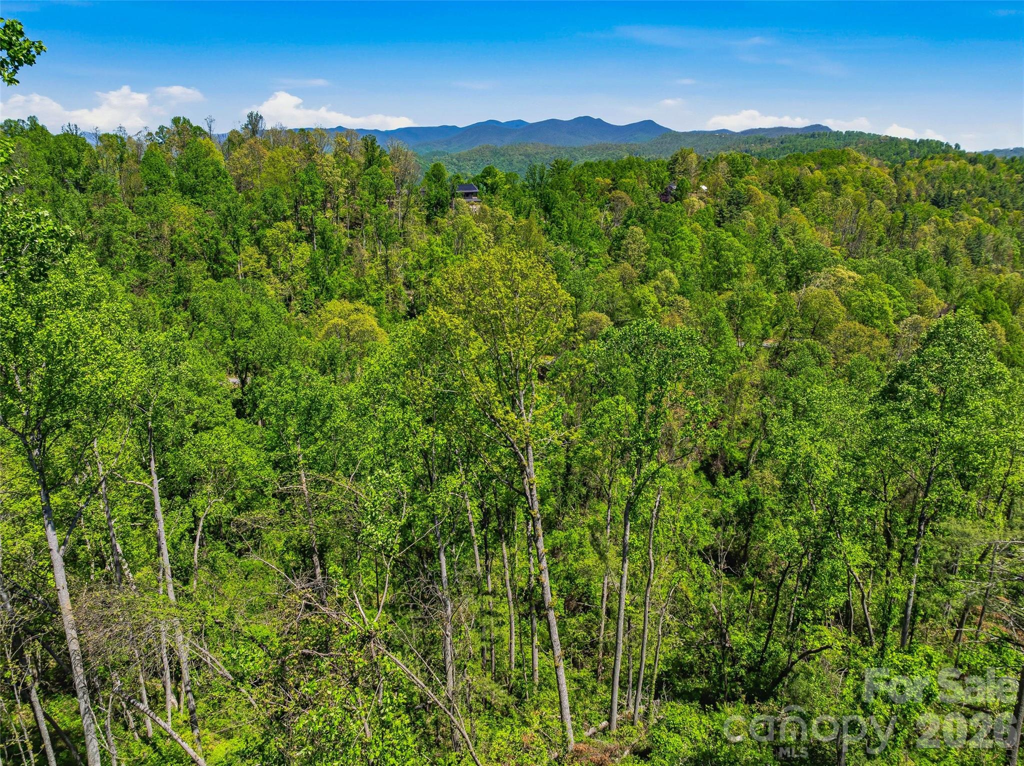 135 Starling Pass Asheville NC 28804