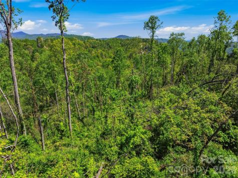 135 Starling Pass Asheville NC 28804
