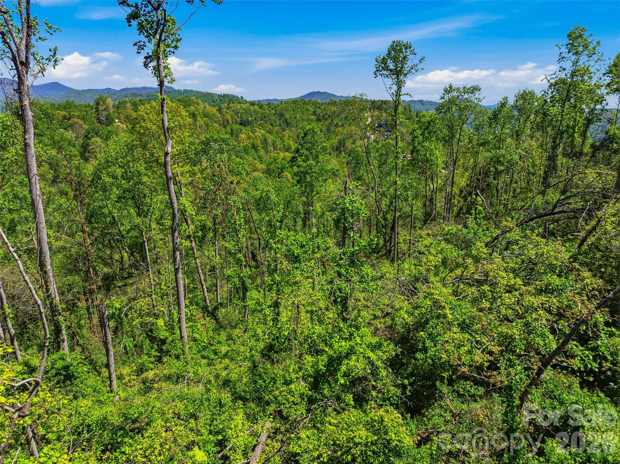 135 Starling Pass Asheville NC 28804
