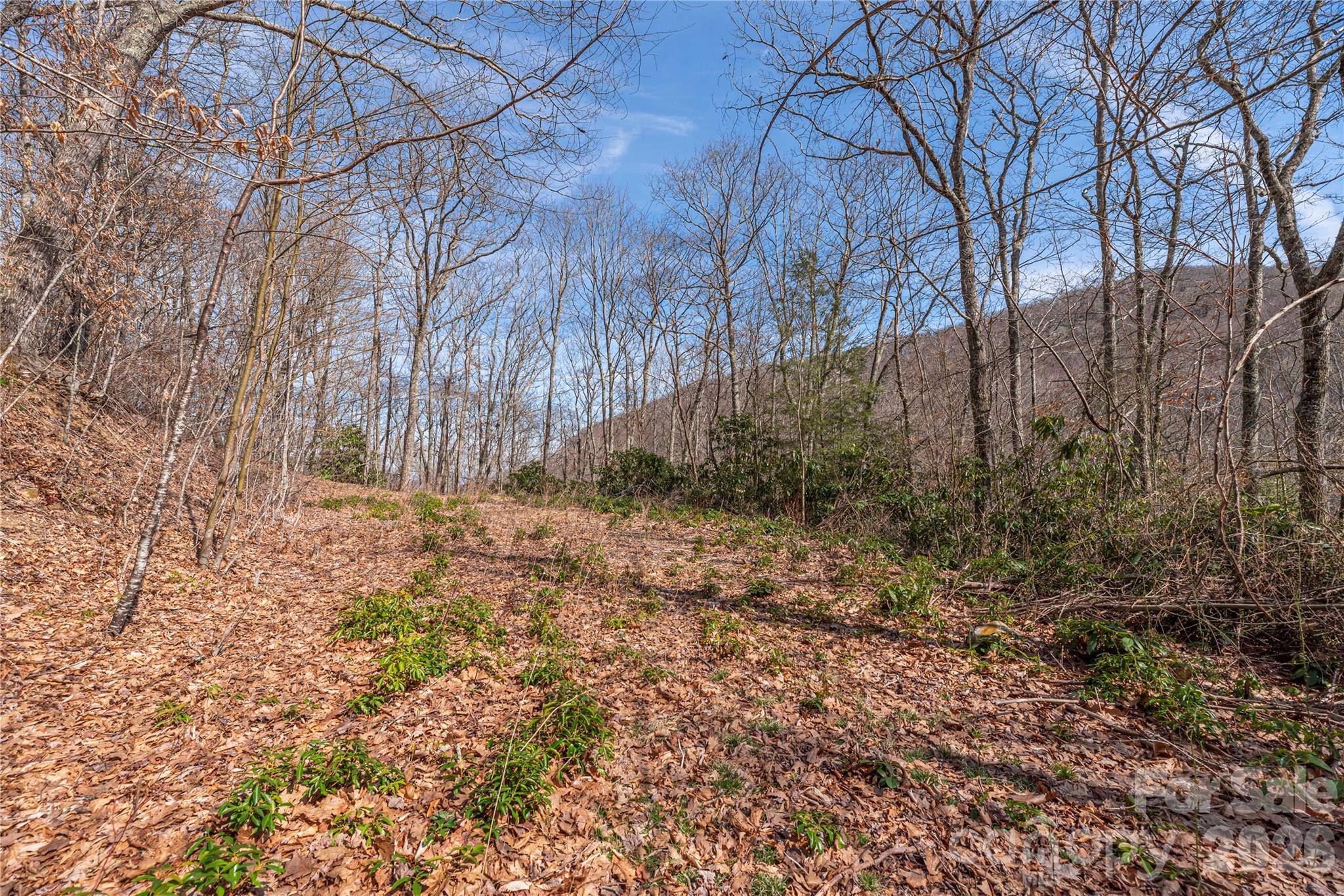 00 Autumn Drive Maggie Valley NC 28751