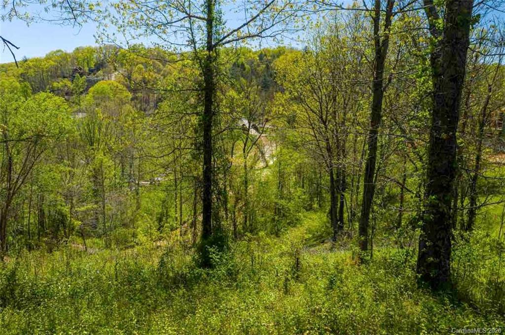 307 Broad Vista Lane Asheville NC 28804