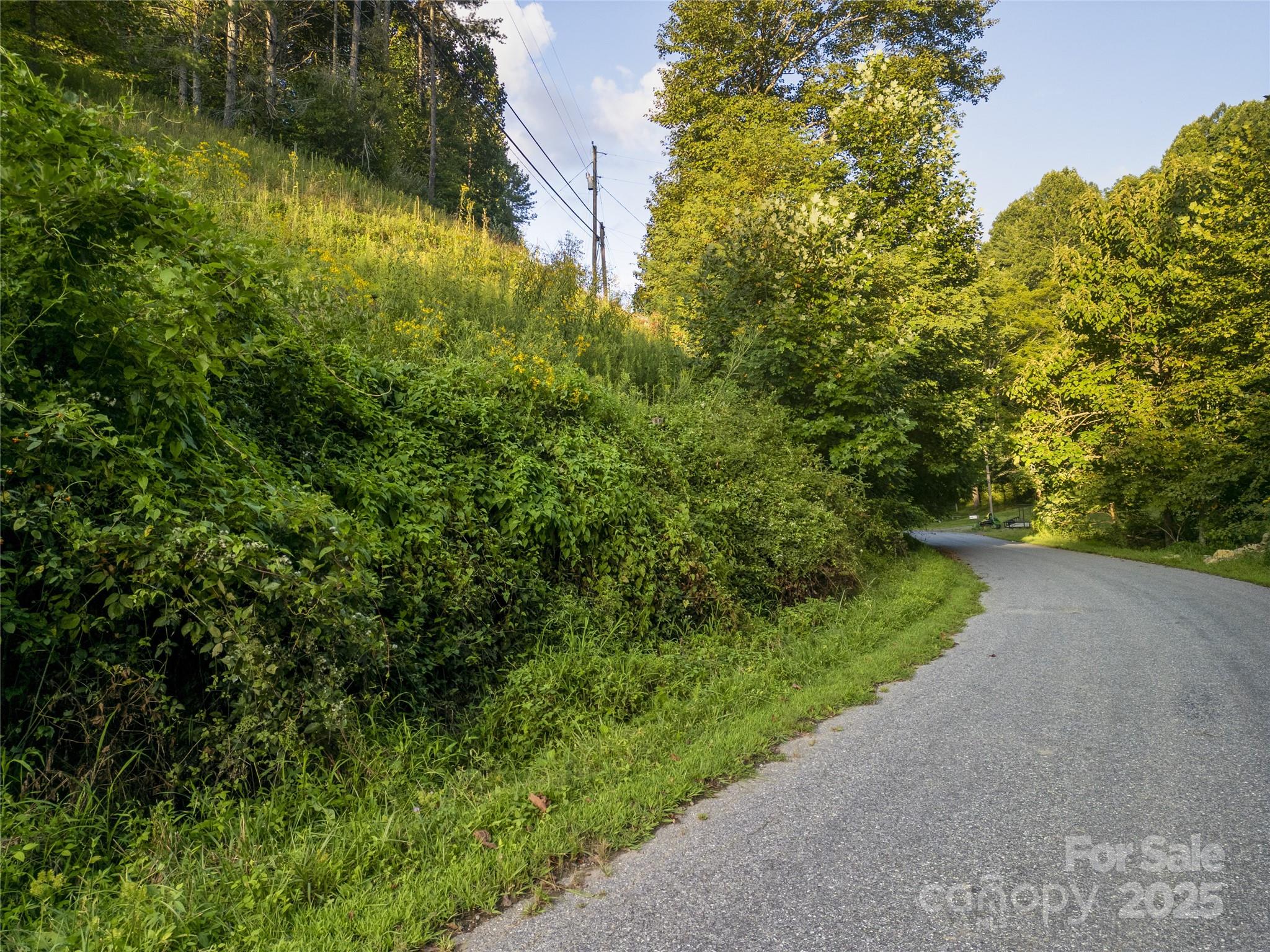 Tbd Butter Sop Road Burnsville NC 28714