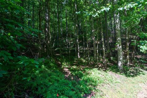 317 Boundary Tree Pass Arden NC 28704