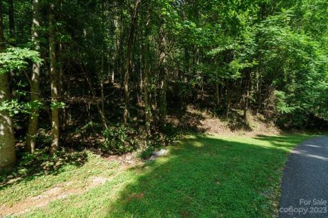 317 Boundary Tree Pass Arden NC 28704