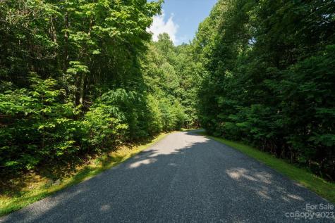 317 Boundary Tree Pass Arden NC 28704