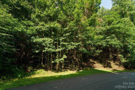 317 Boundary Tree Pass Arden NC 28704