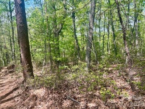 Tbd Mountain View Circle Lenoir NC 28645