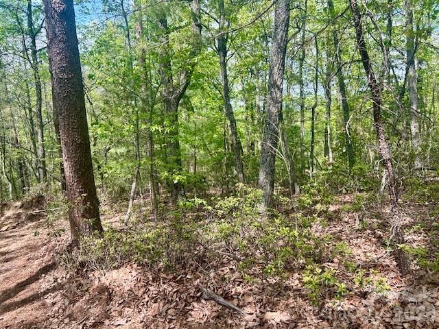 Tbd Mountain View Circle Lenoir NC 28645