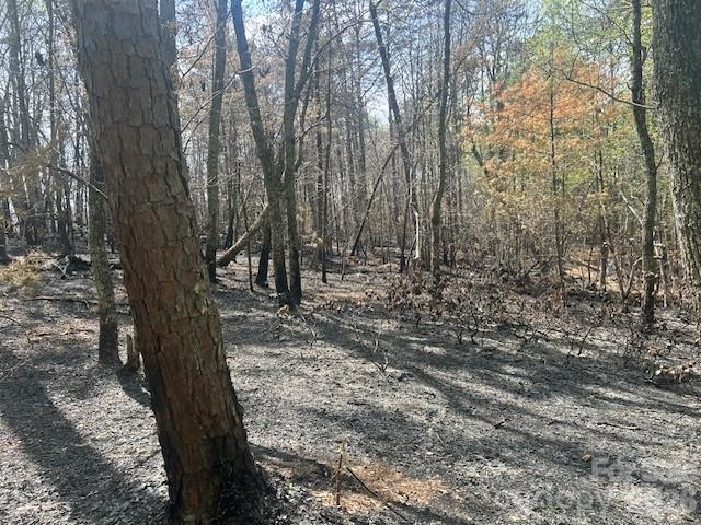 Tbd Mountain View Circle Lenoir NC 28645