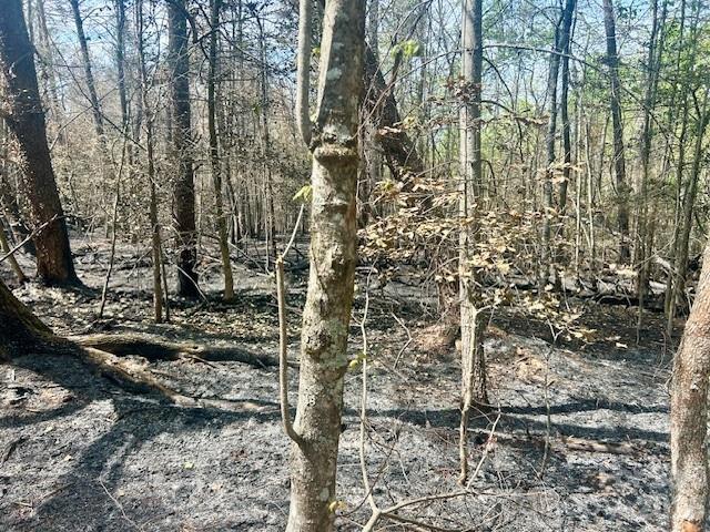 Tbd Mountain View Circle Lenoir NC 28645