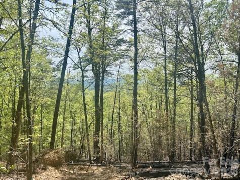 Tbd Mountain View Circle Lenoir NC 28645