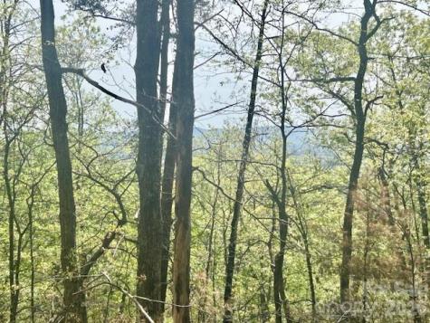 Tbd Mountain View Circle Lenoir NC 28645