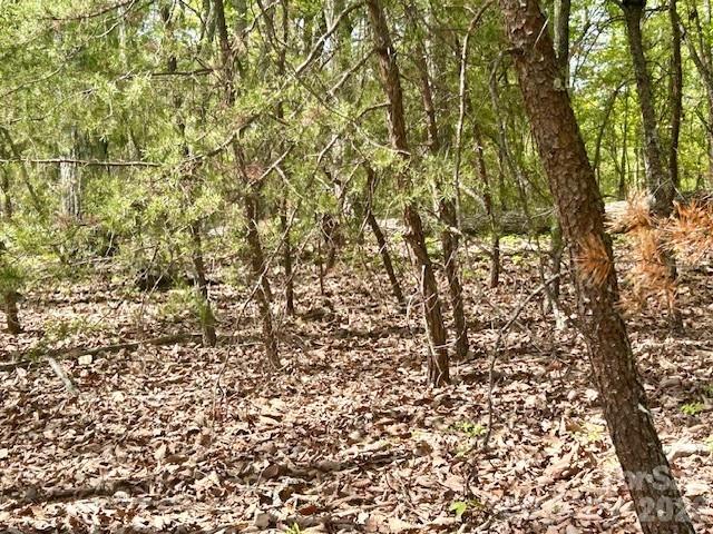 Tbd Mountain View Circle Lenoir NC 28645