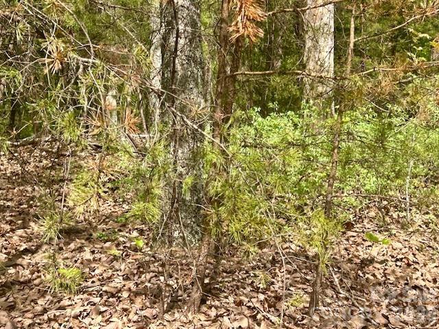 Tbd Mountain View Circle Lenoir NC 28645