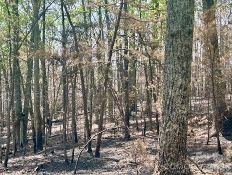 Tbd Mountain View Circle Lenoir NC 28645