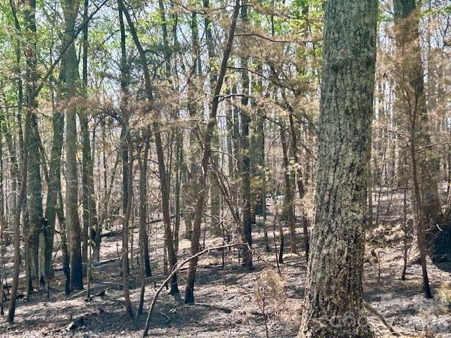 Tbd Mountain View Circle Lenoir NC 28645