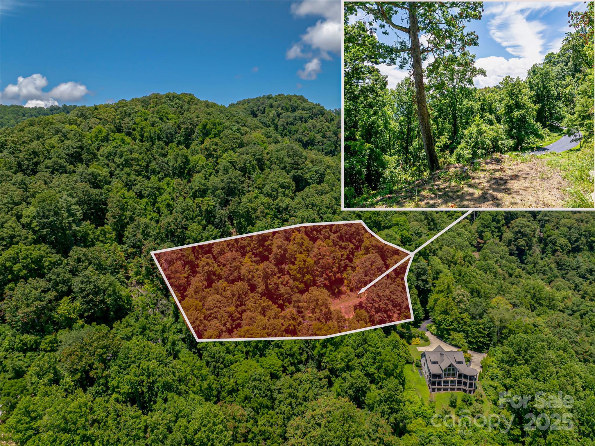99999 Running Deer Lane Mars Hill NC 28754