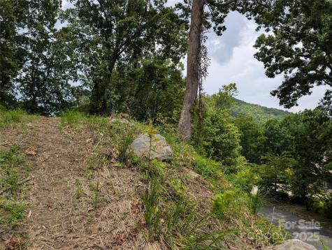 99999 Running Deer Lane Mars Hill NC 28754