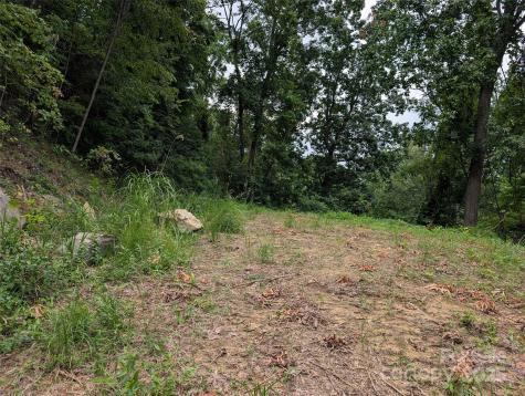 99999 Running Deer Lane Mars Hill NC 28754