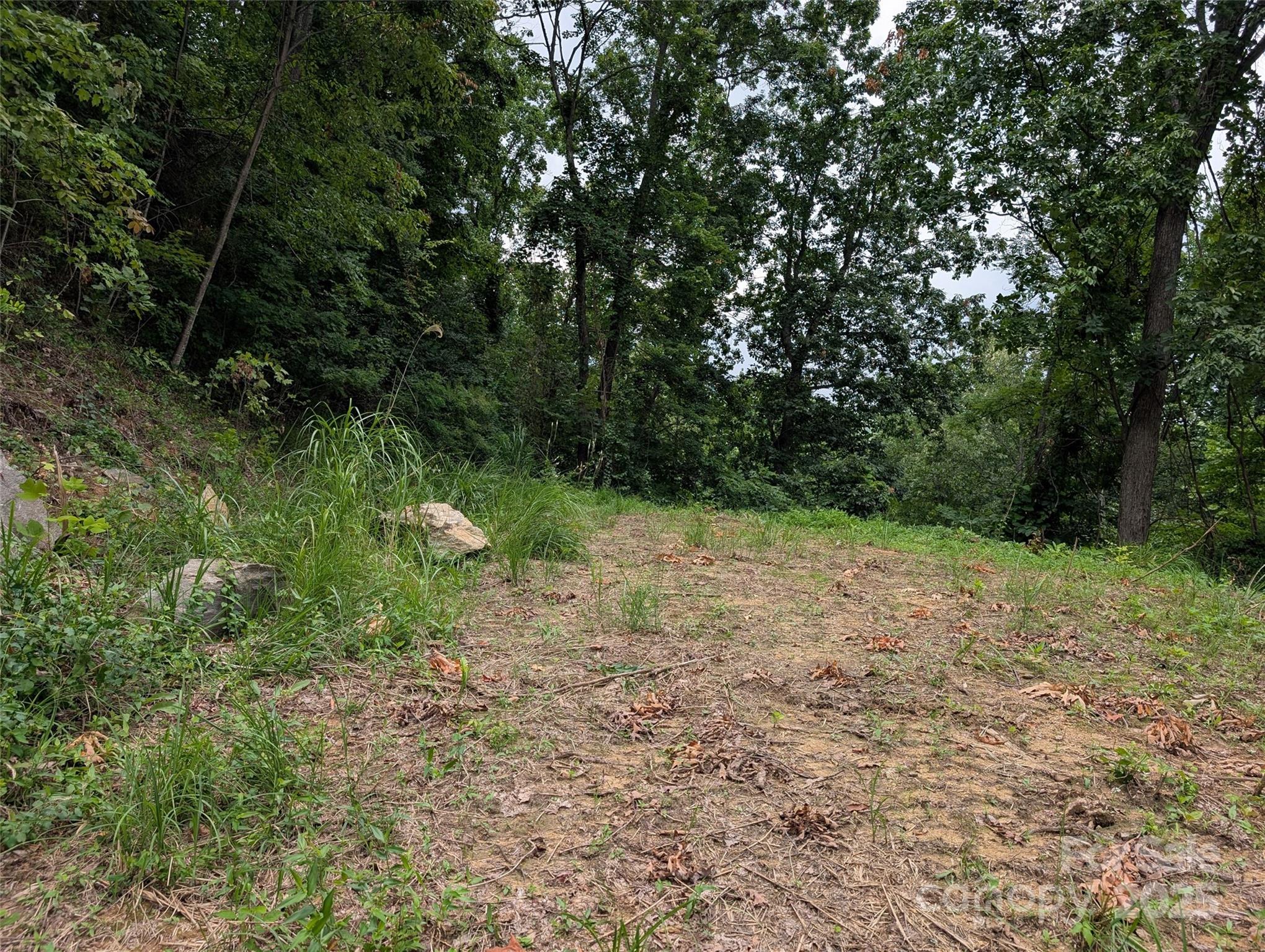 99999 Running Deer Lane Mars Hill NC 28754