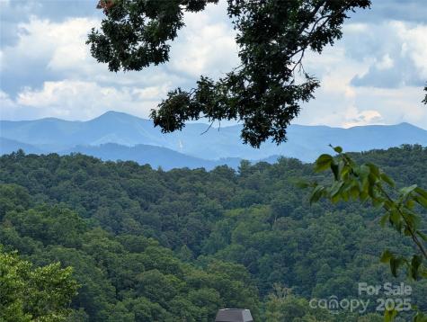 99999 Running Deer Lane Mars Hill NC 28754
