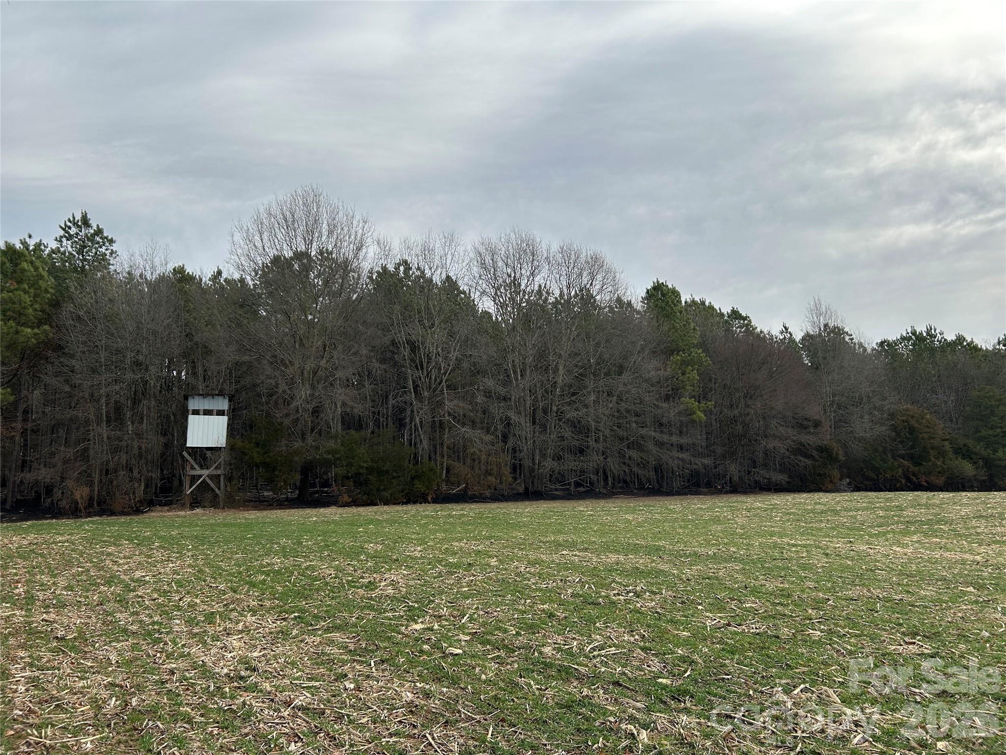 1440 Carl Taylor Road Peachland NC 28133