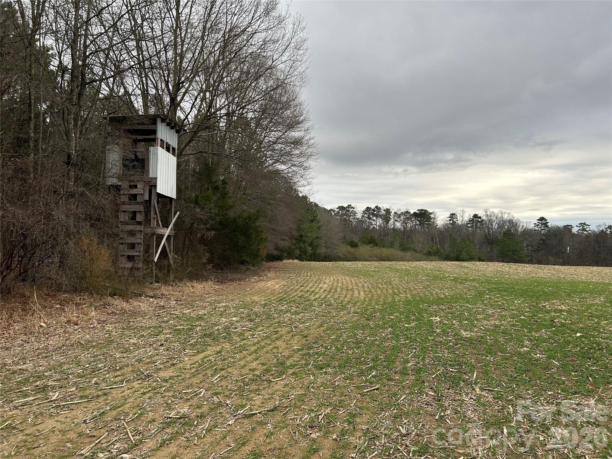 1440 Carl Taylor Road Peachland NC 28133