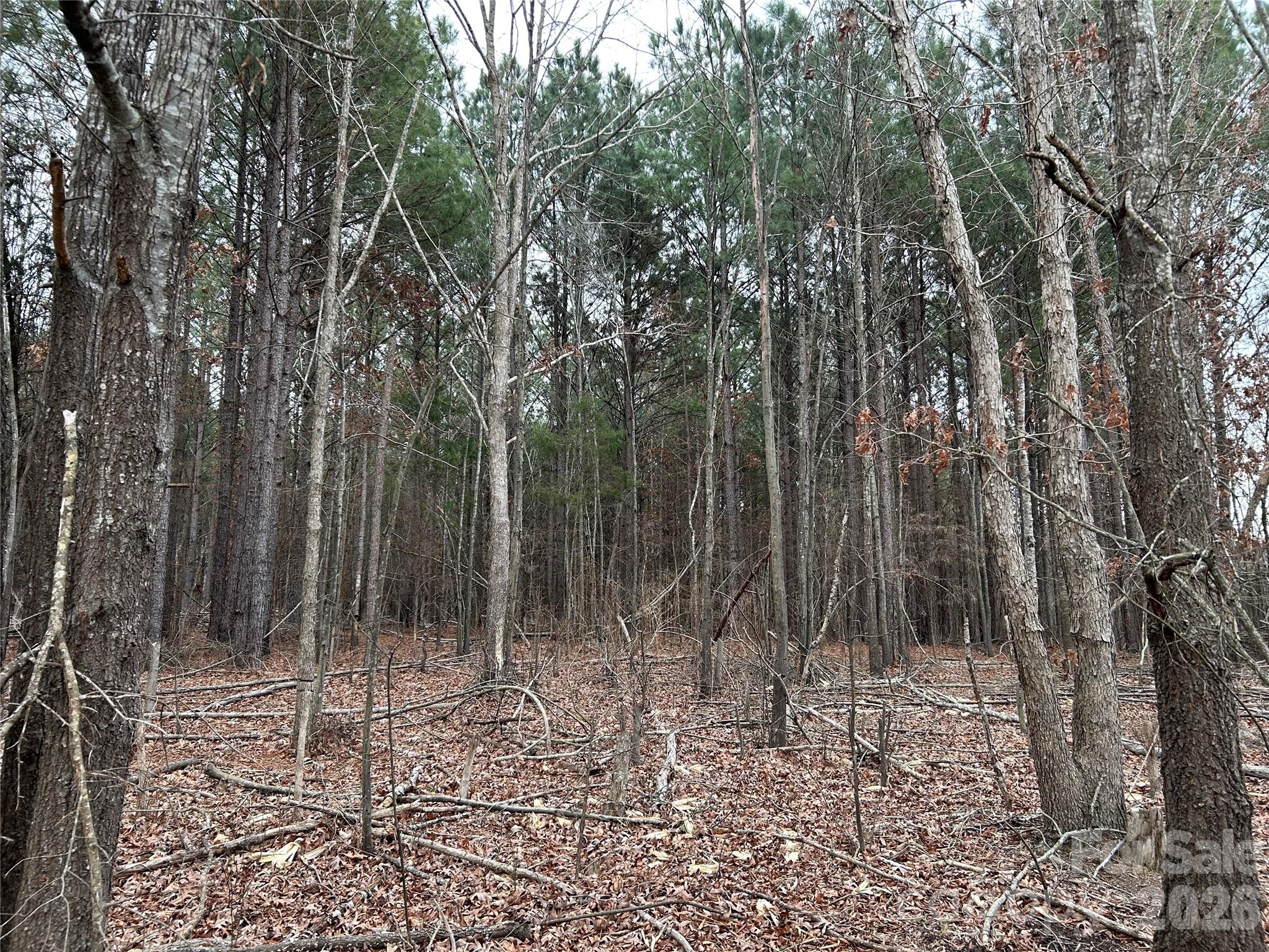 1440 Carl Taylor Road Peachland NC 28133