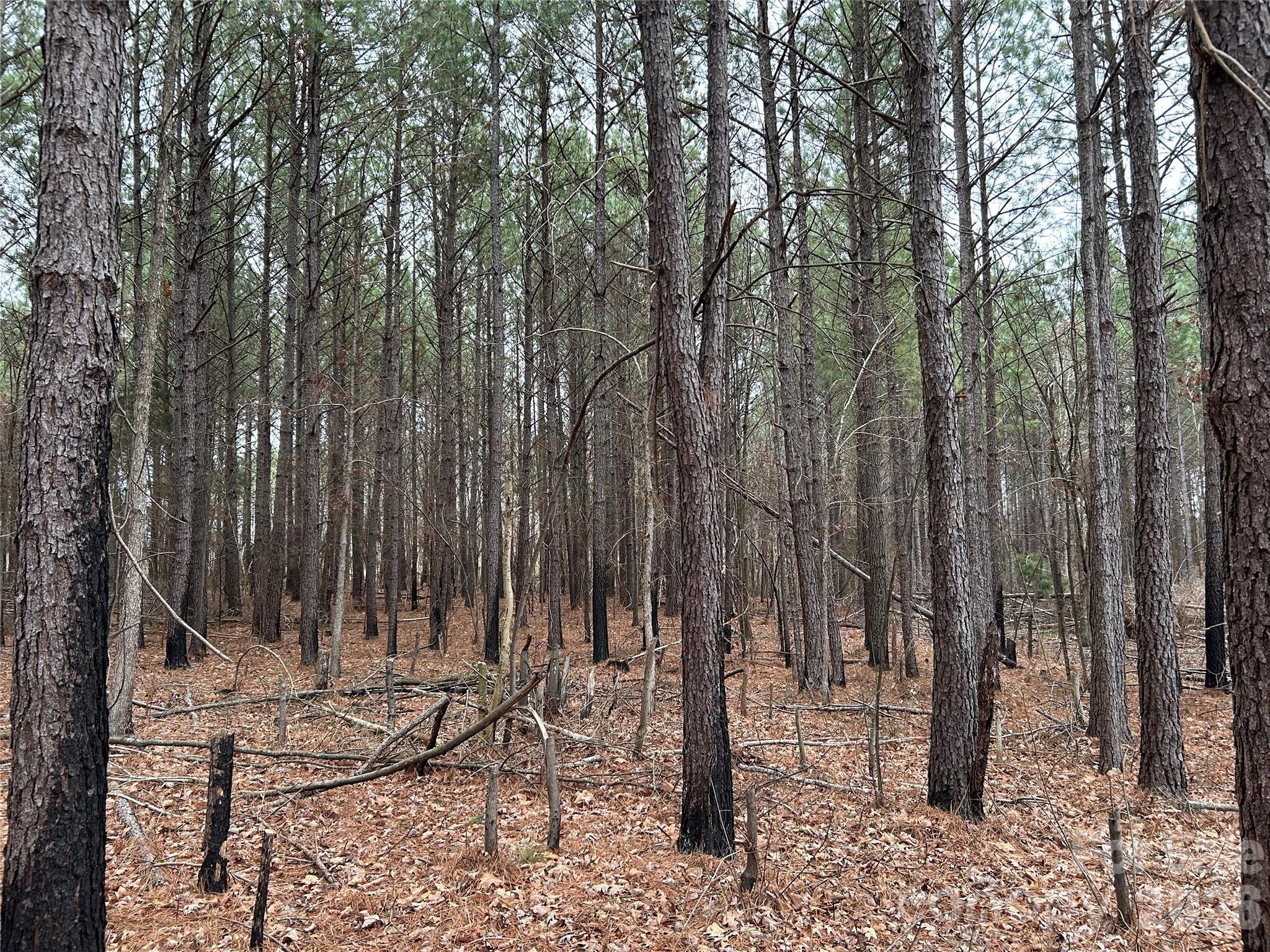 1440 Carl Taylor Road Peachland NC 28133