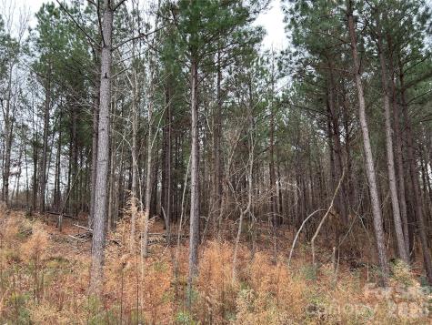 1440 Carl Taylor Road Peachland NC 28133
