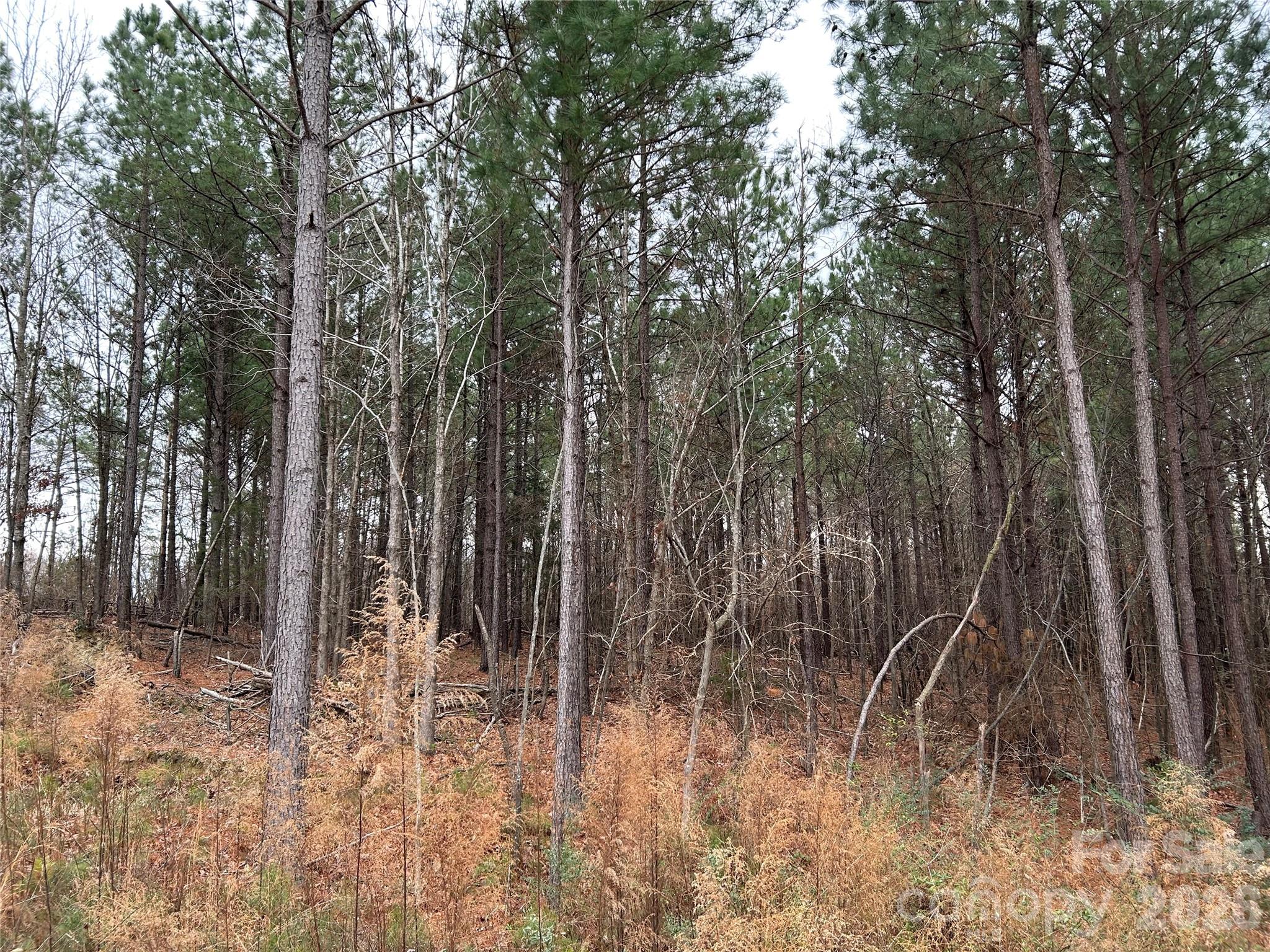 1440 Carl Taylor Road Peachland NC 28133