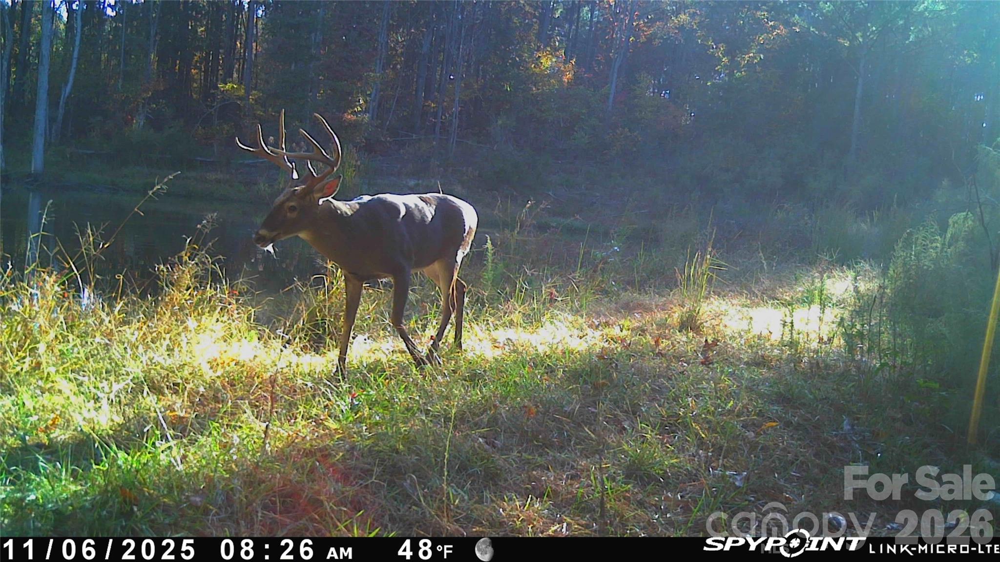1440 Carl Taylor Road Peachland NC 28133