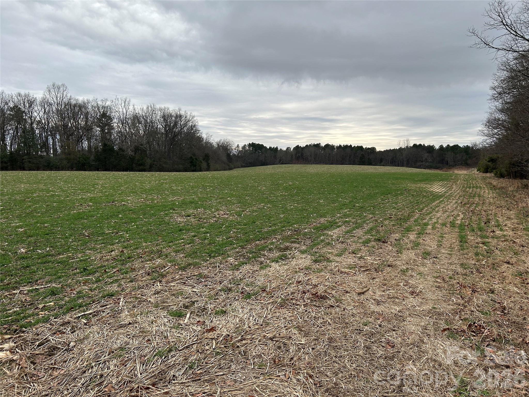 1440 Carl Taylor Road Peachland NC 28133
