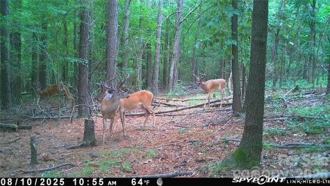 1440 Carl Taylor Road Peachland NC 28133